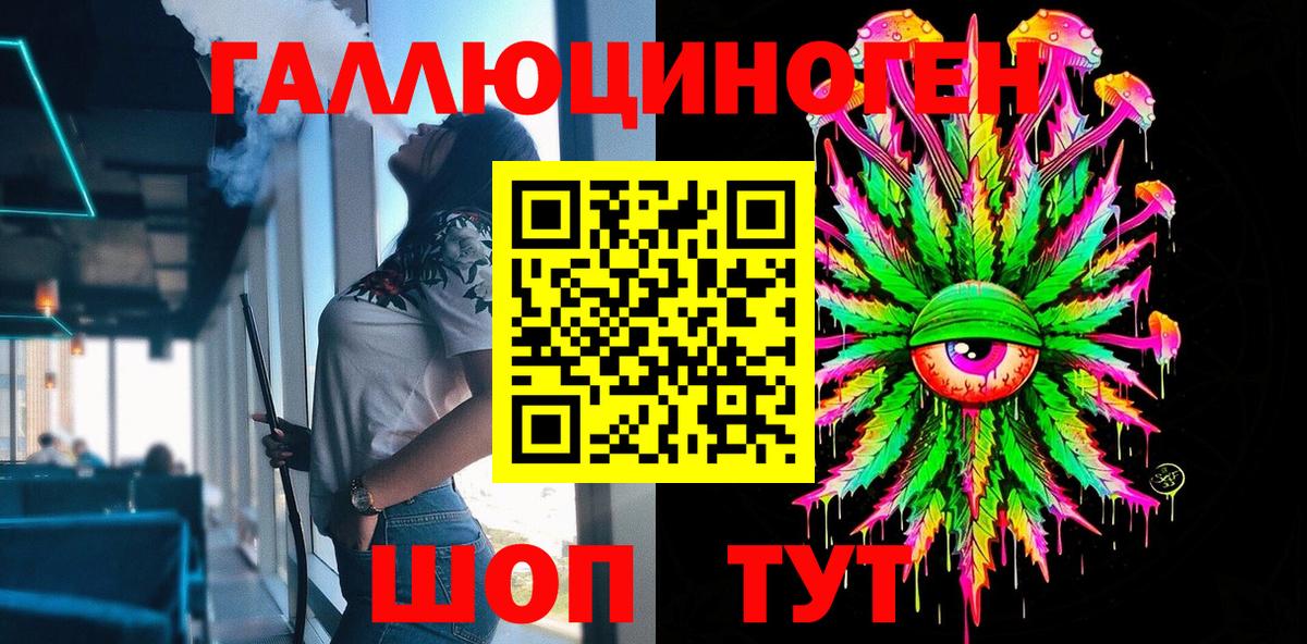Псилоцибиновые грибы Psilocybe Сатка