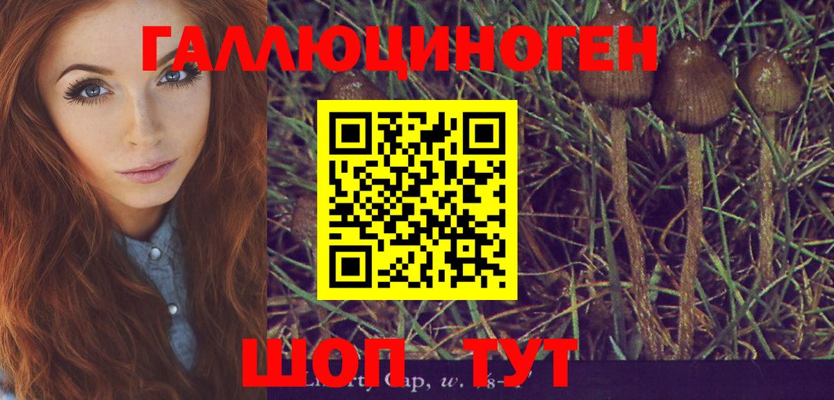 Сатка  Галлюциногенные грибы Psilocybe  Вход с VPN 